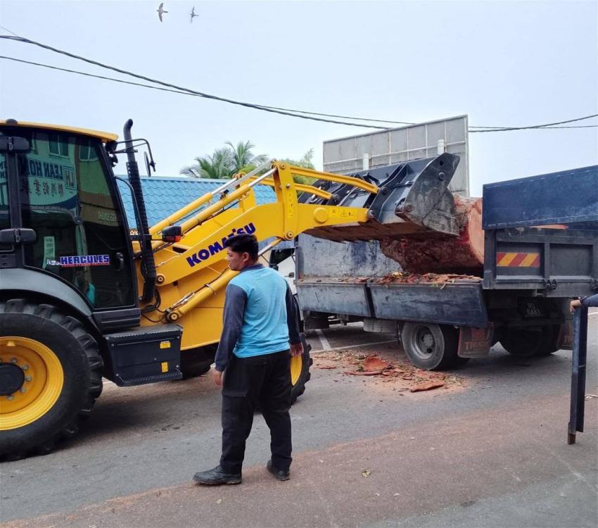 KERJA-KERJA PENEBANGAN POKOK DI TAMAN SENA, KANGAR